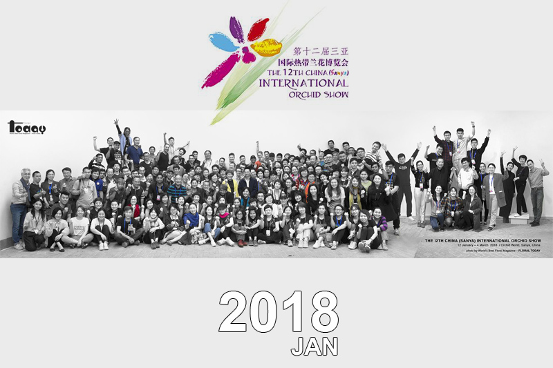 the 12th CHINA ( Sanya ) International Orchid Show ( January 2018 )